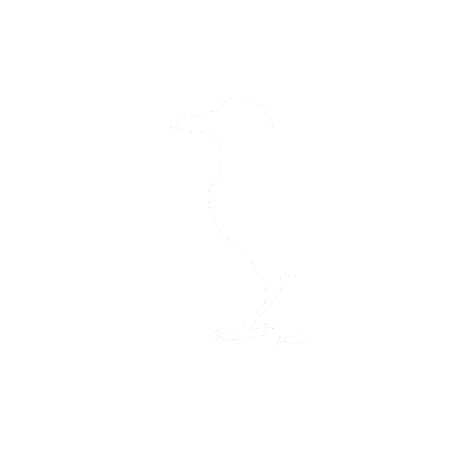 Black Rook